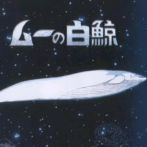 大白鲸