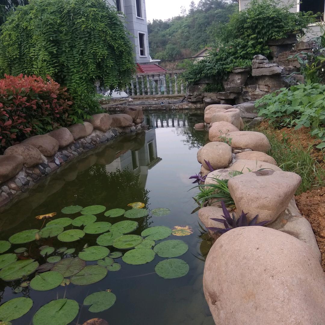 两弹一鑫     创意生活坊