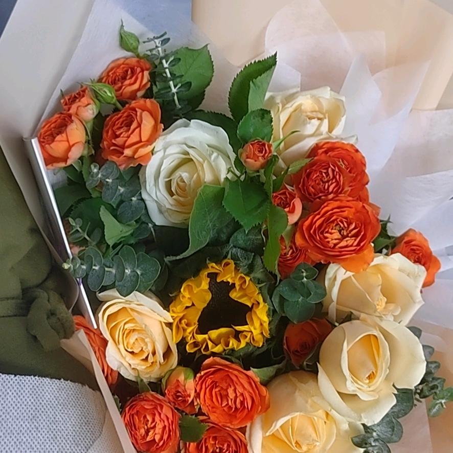 回忆美好在明天