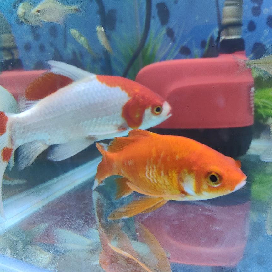 一笑而过