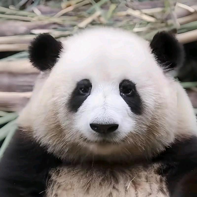小雅℃