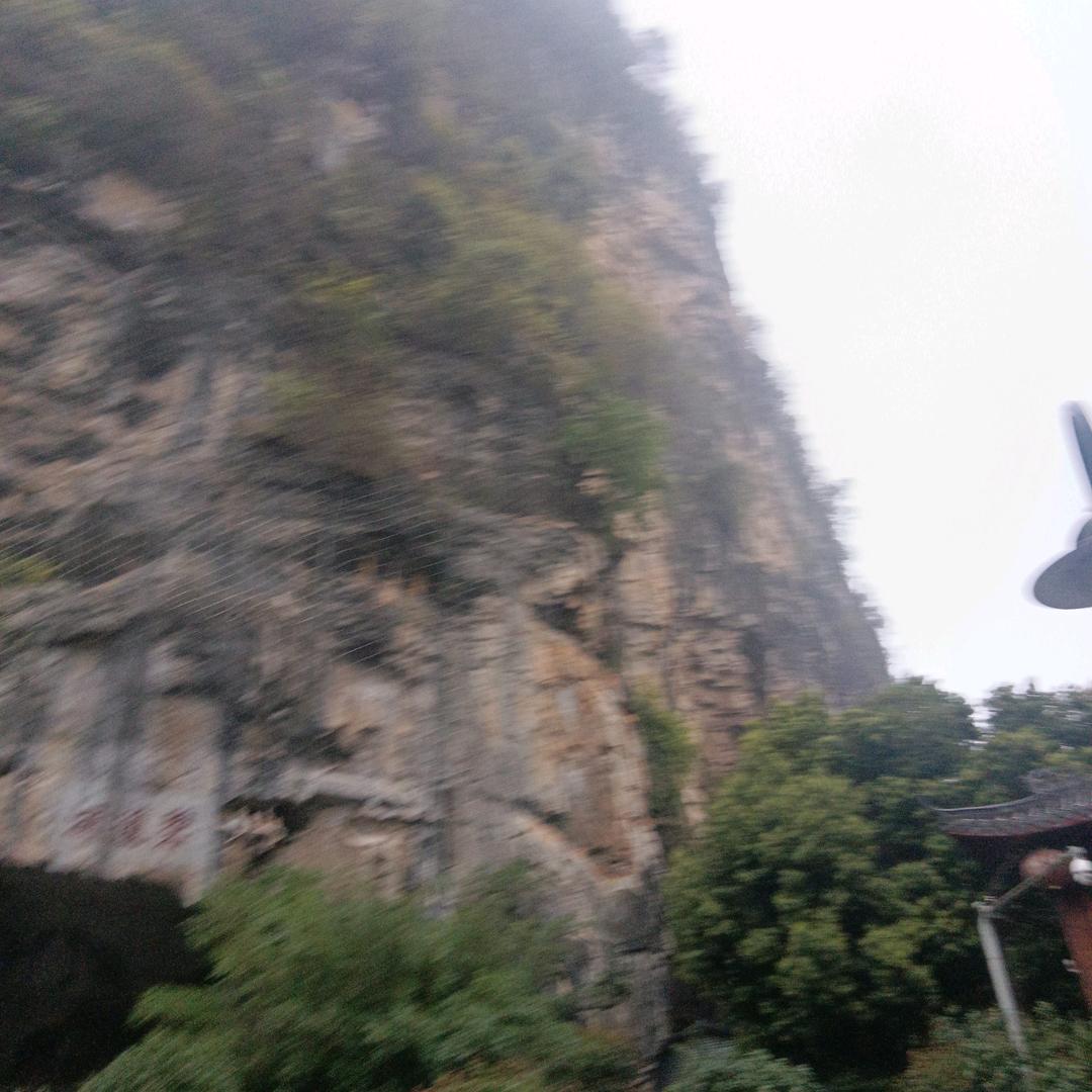 初心