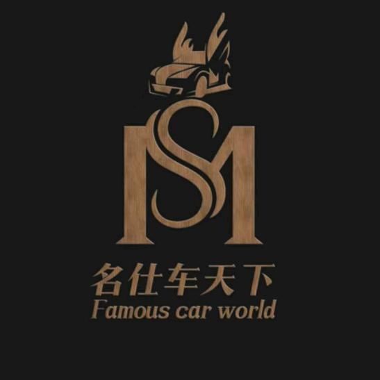 名仕车天下-奢驾租赁（企业）