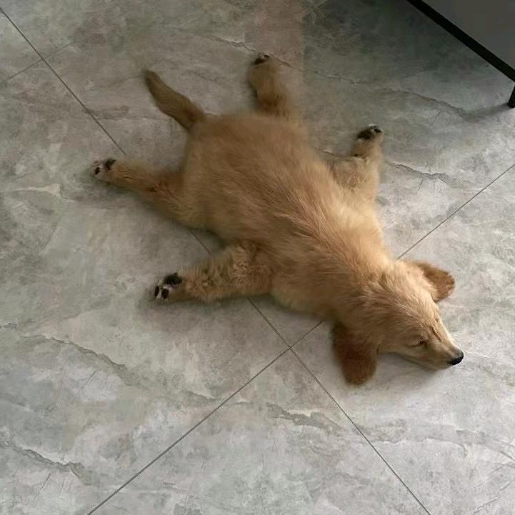今天拉粑粑了