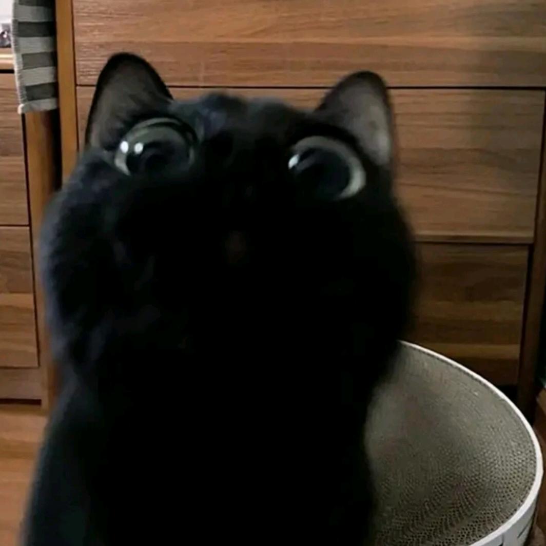 小小哆