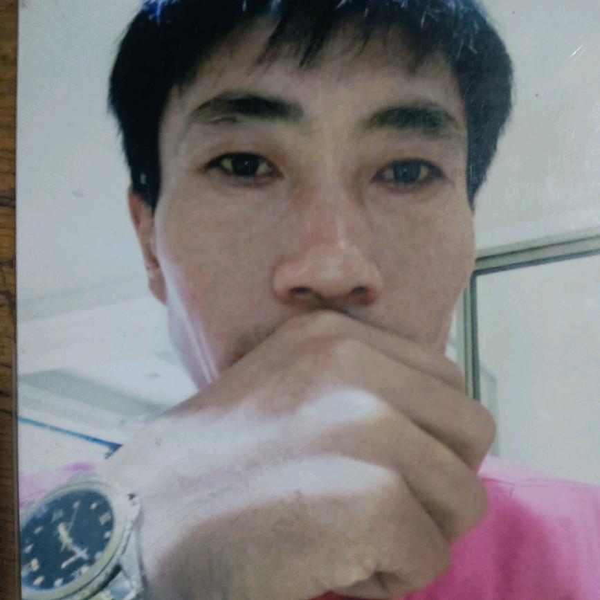 长年出售各种犬（陈集镇）