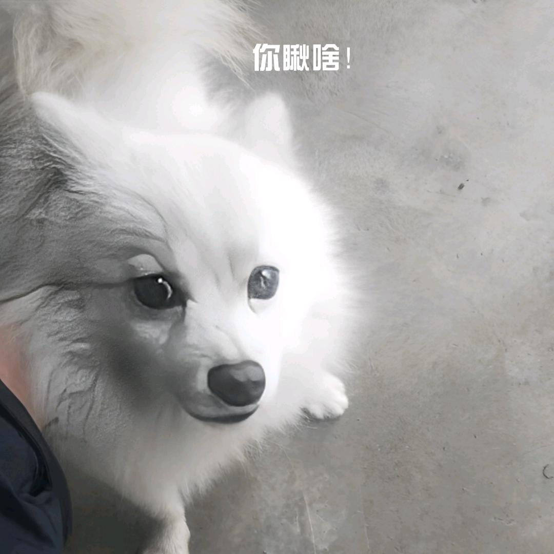 额   上头