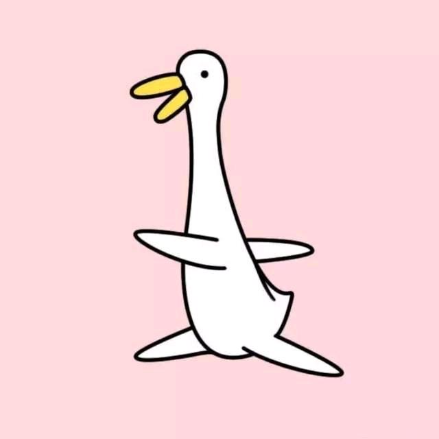 小米南瓜周先生