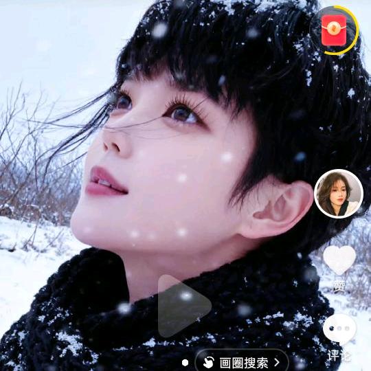 红雪莲！