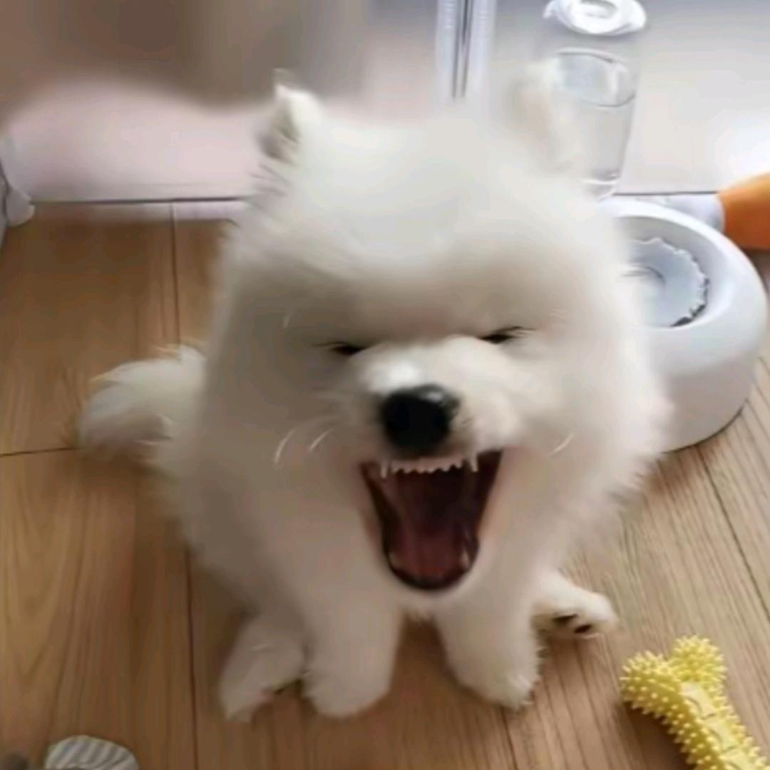 宁不落