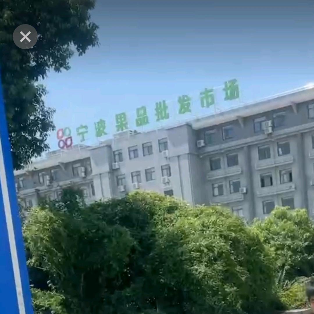 失去我的心碎.