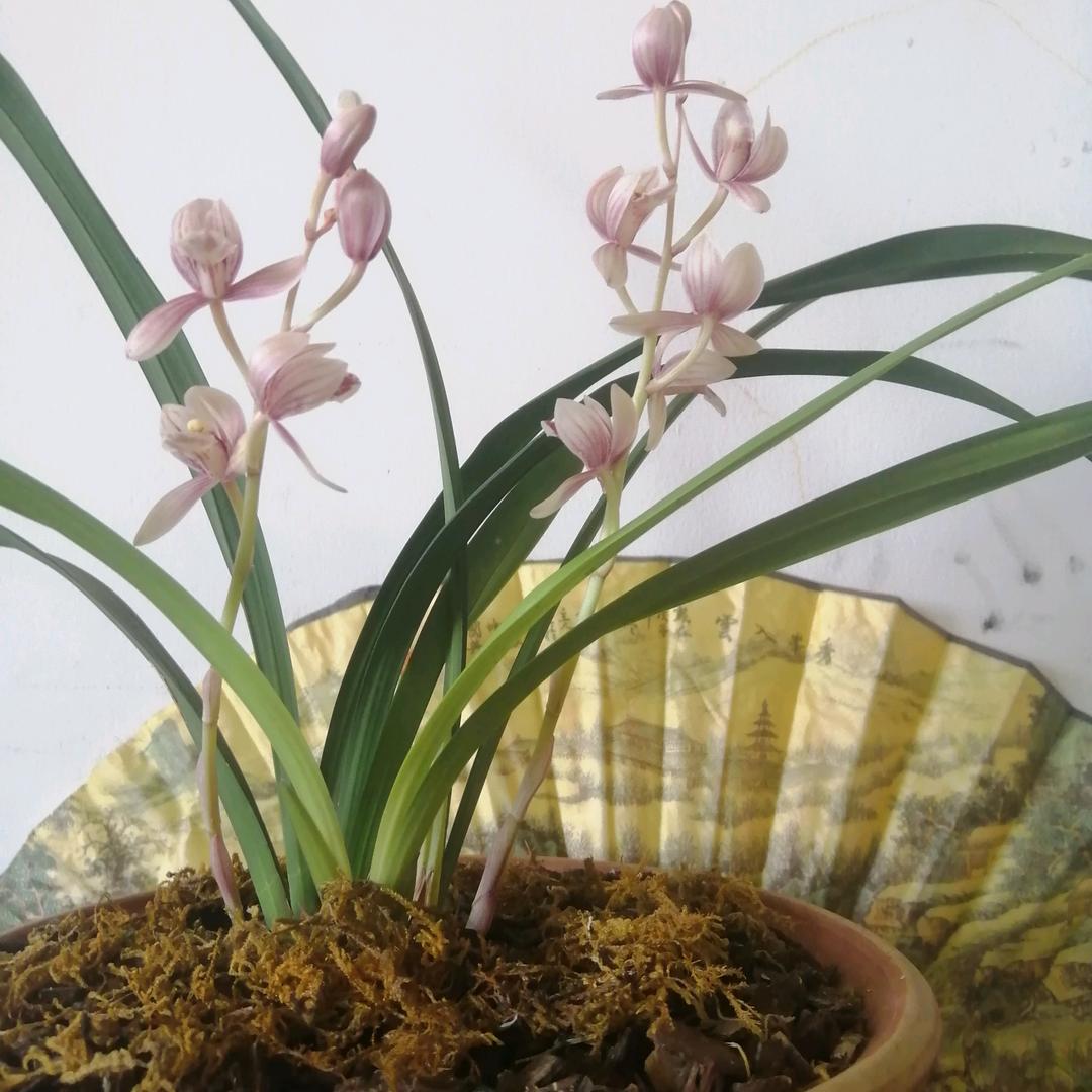钟源