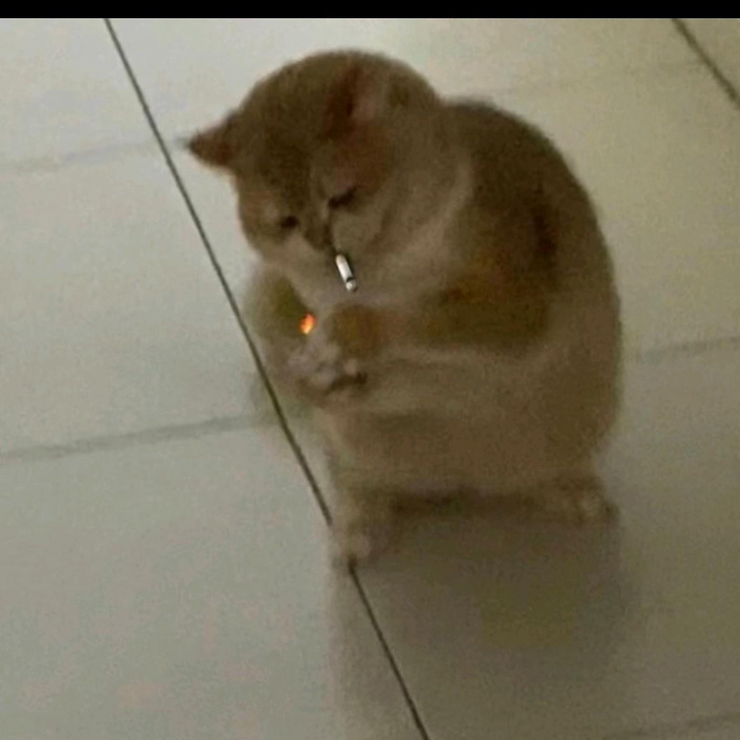 吾帝煞惫
