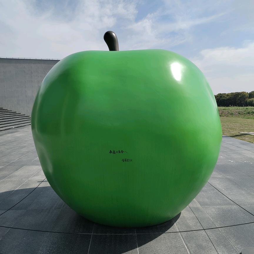 眼里依然有海的清澈