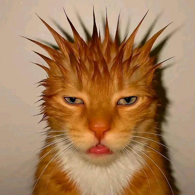 。。。。。。。