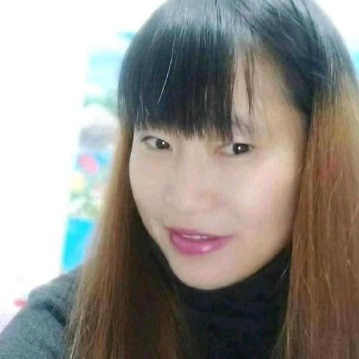 琴