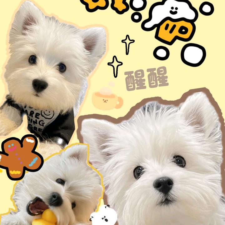多多超可爱