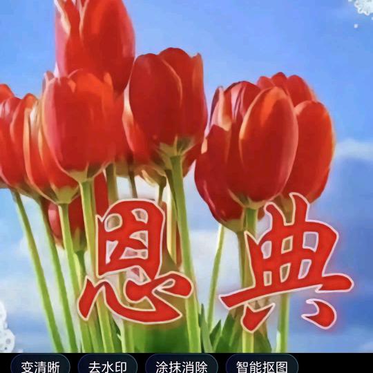 蒙   恩