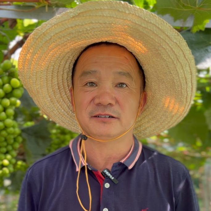 小铁头葡萄