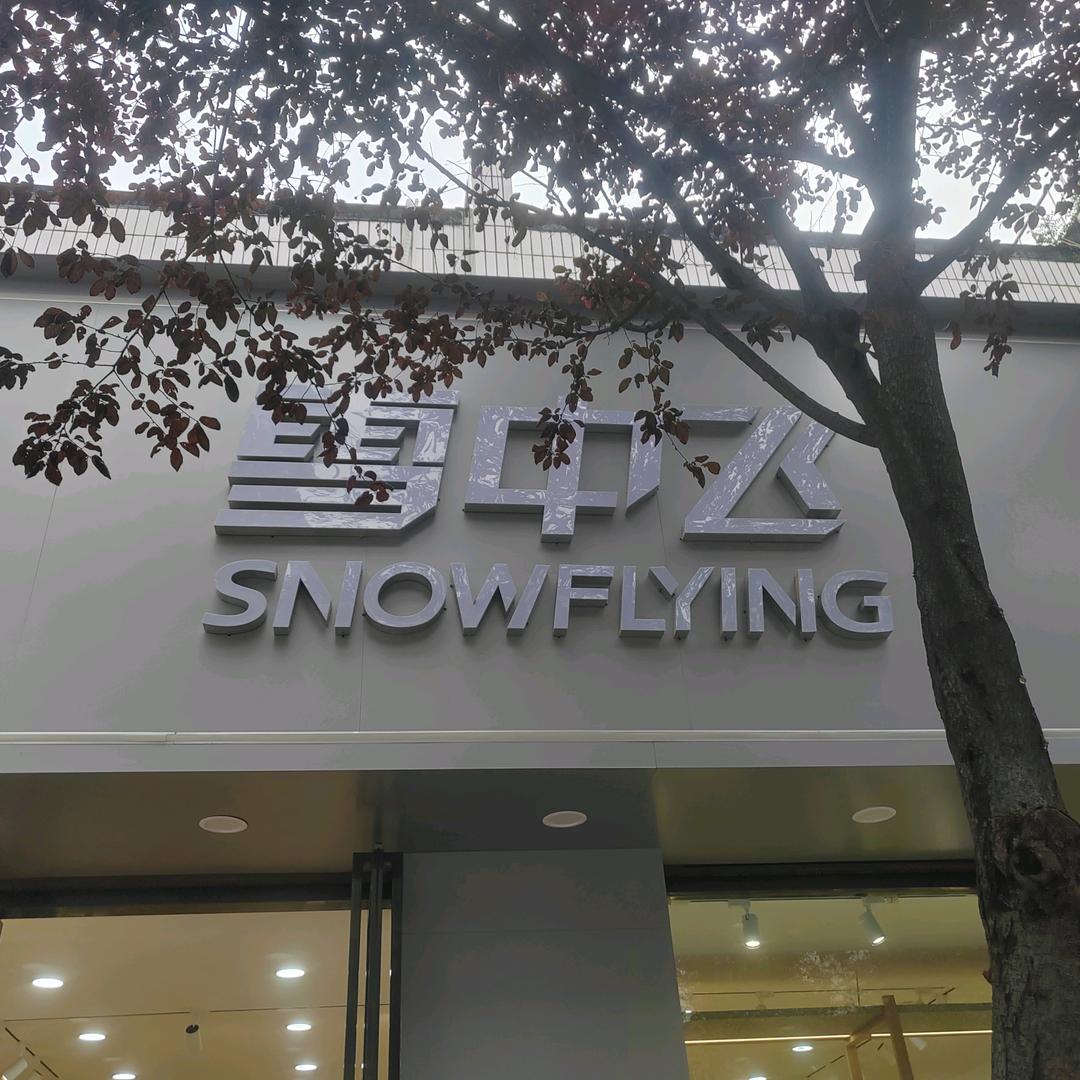 香山中路雪中飞