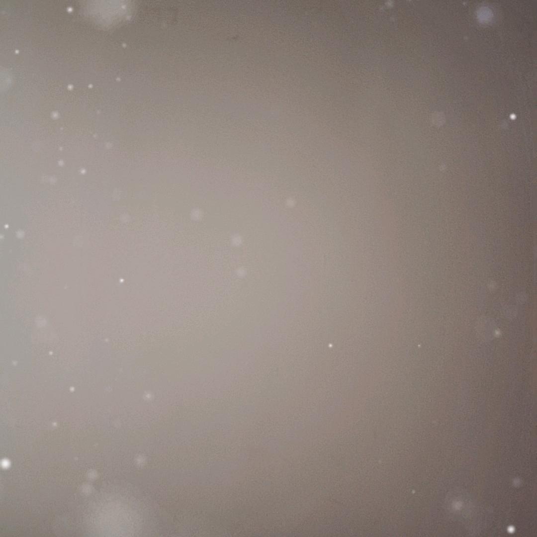 淼淼淼