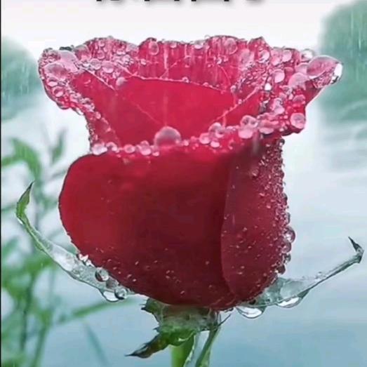 姐弟俩日常生活