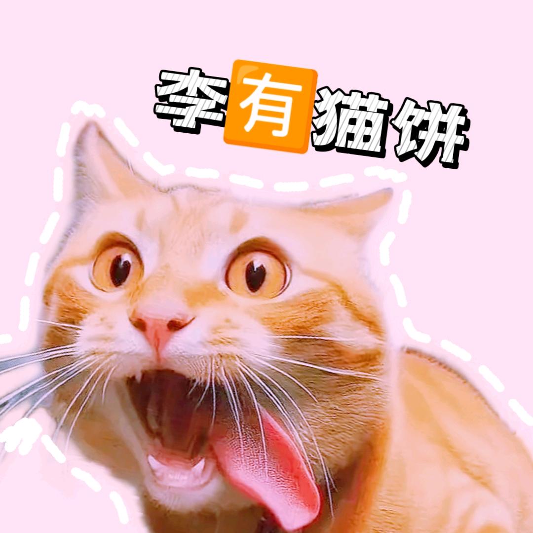 李有猫饼(方言配音)