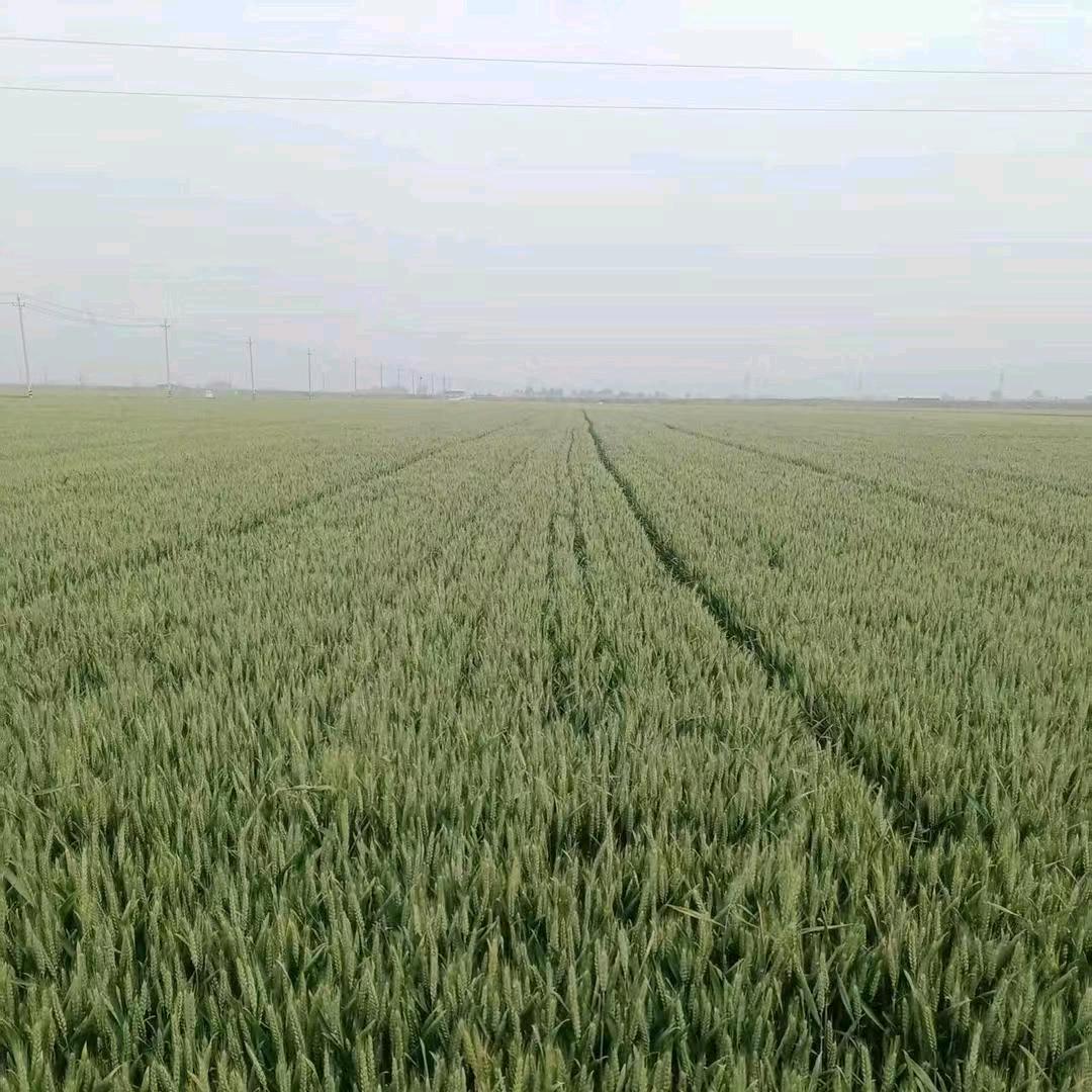 小史助农