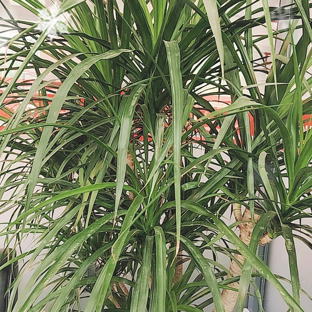 奋斗拒绝连赞 🙏)