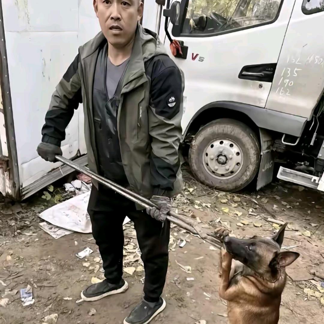 AAA专业套狗刘师傅（碰到舔狗直接套走）