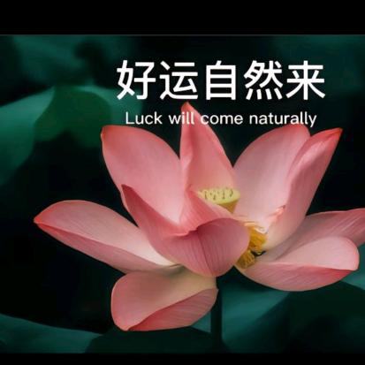 一切随缘666