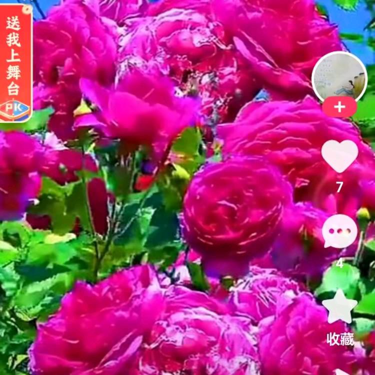 有你真幸福