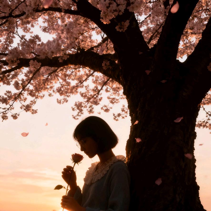 浴火火（24H回关）