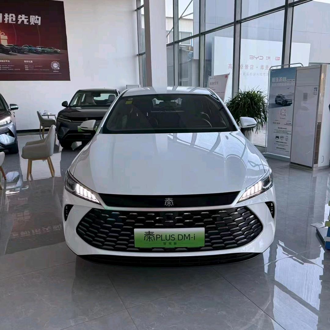 BYD-秦PLUS（最新动态）