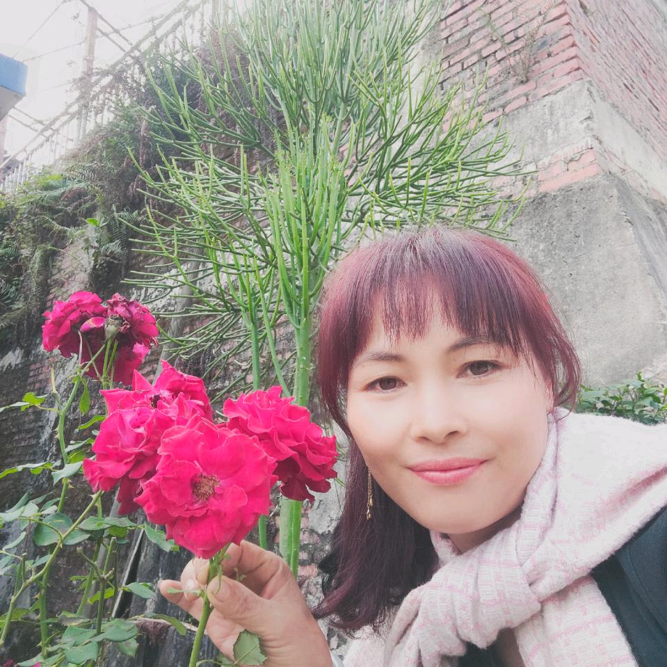 小芬