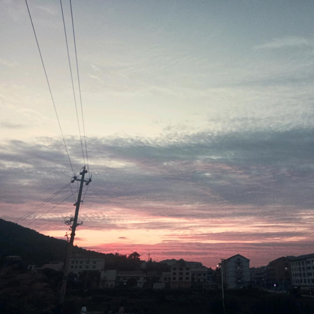 爱玩的小九