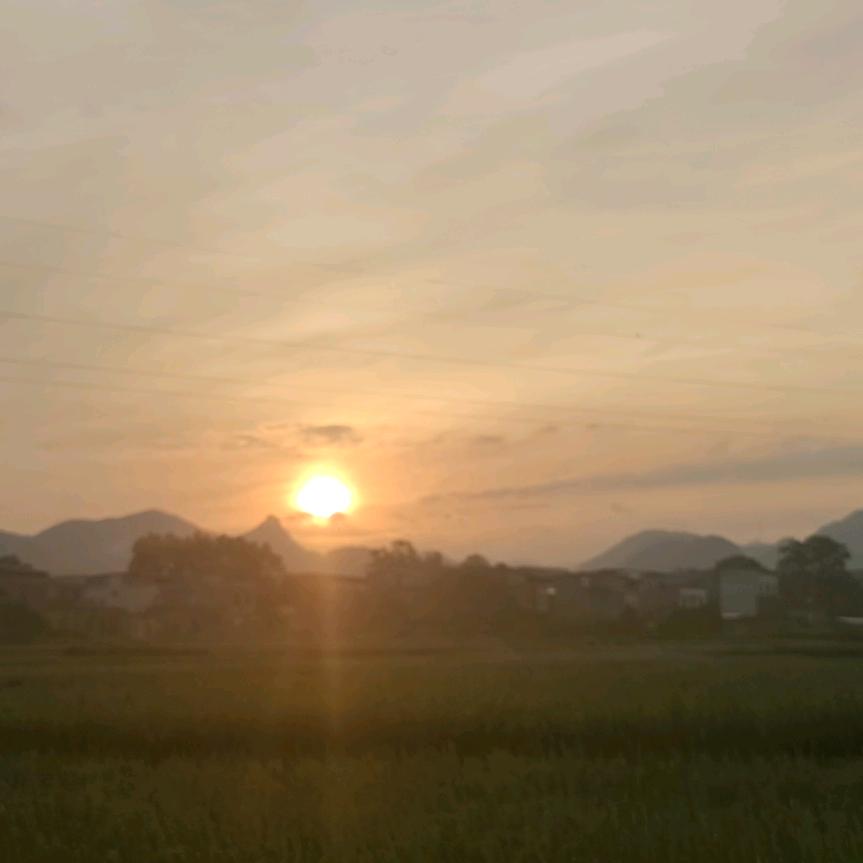 封心锁爱