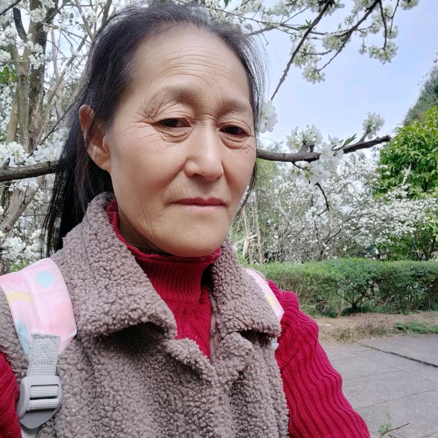 开心姐
