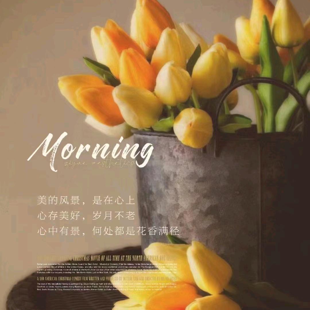 未来可期👗👗