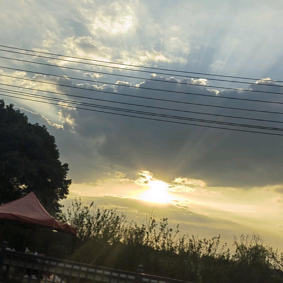为你向前冲