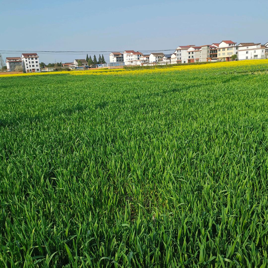 qinshanlushui