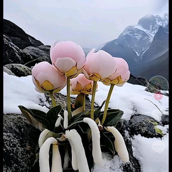 期待更好得明天