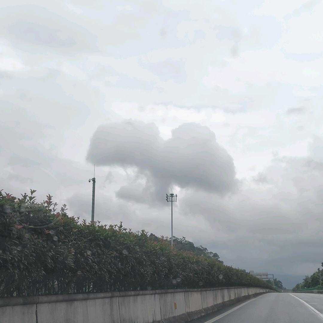 财运来了