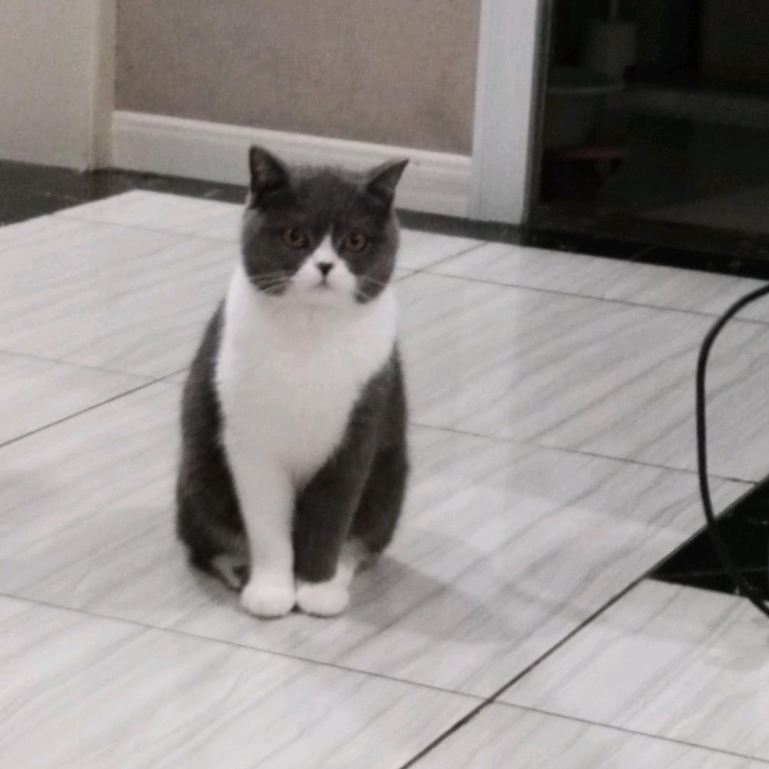 开心快乐每一天