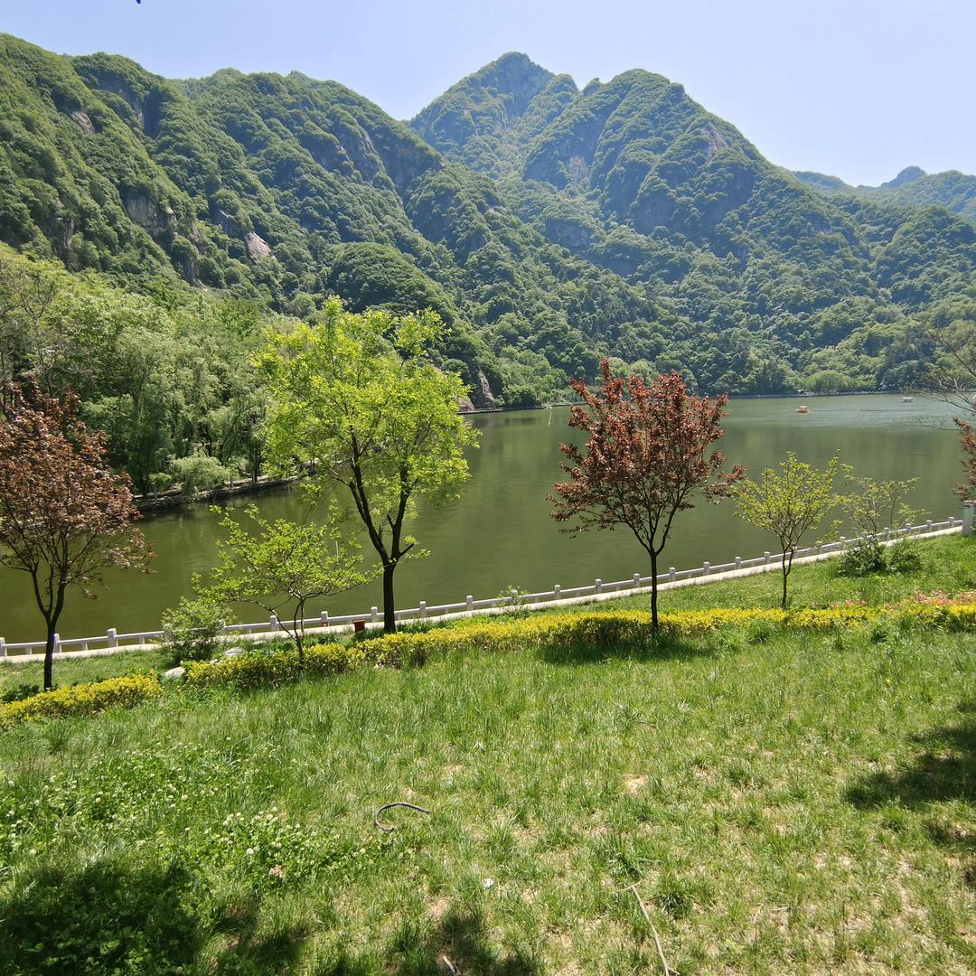 墨香斋