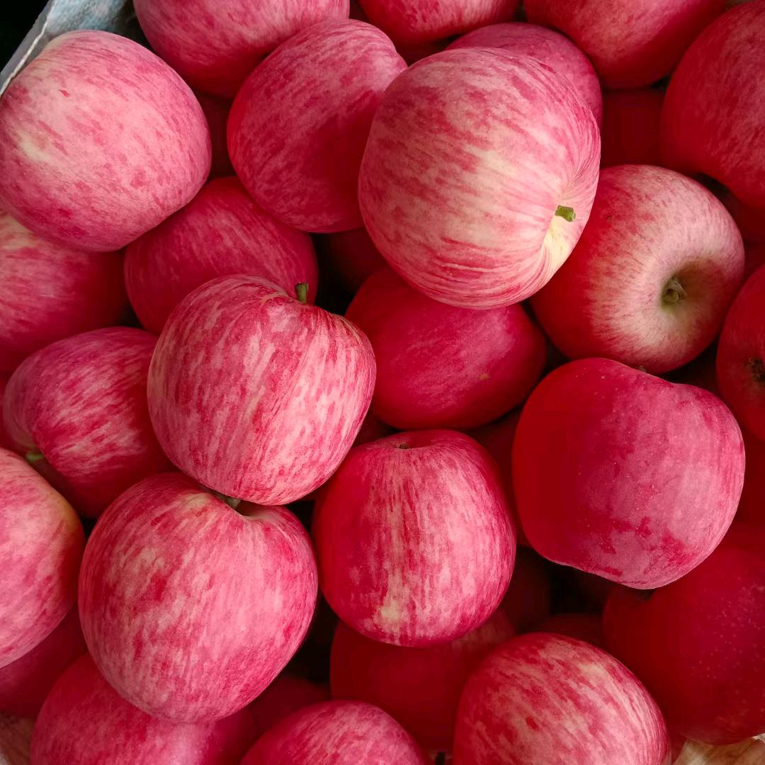 🍒樱桃🍒vs🍎苹果🍎代收代发🍒