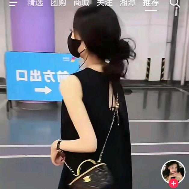 苦丁茶