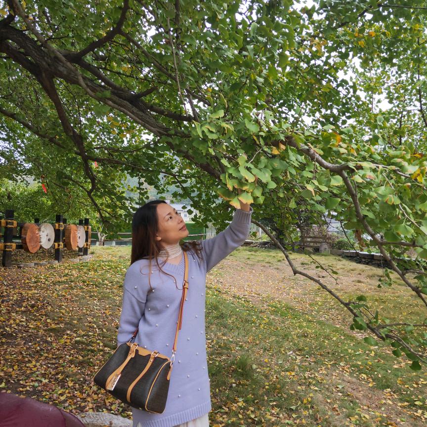 🍂罗叶知秋✨
