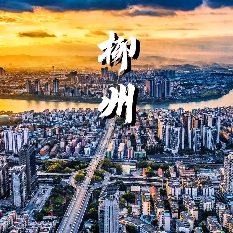 柳州9号 🌇