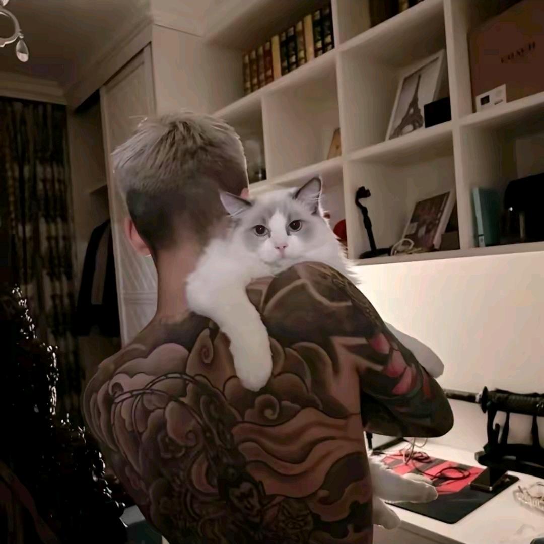 MXT·扎ཤེས།🐺